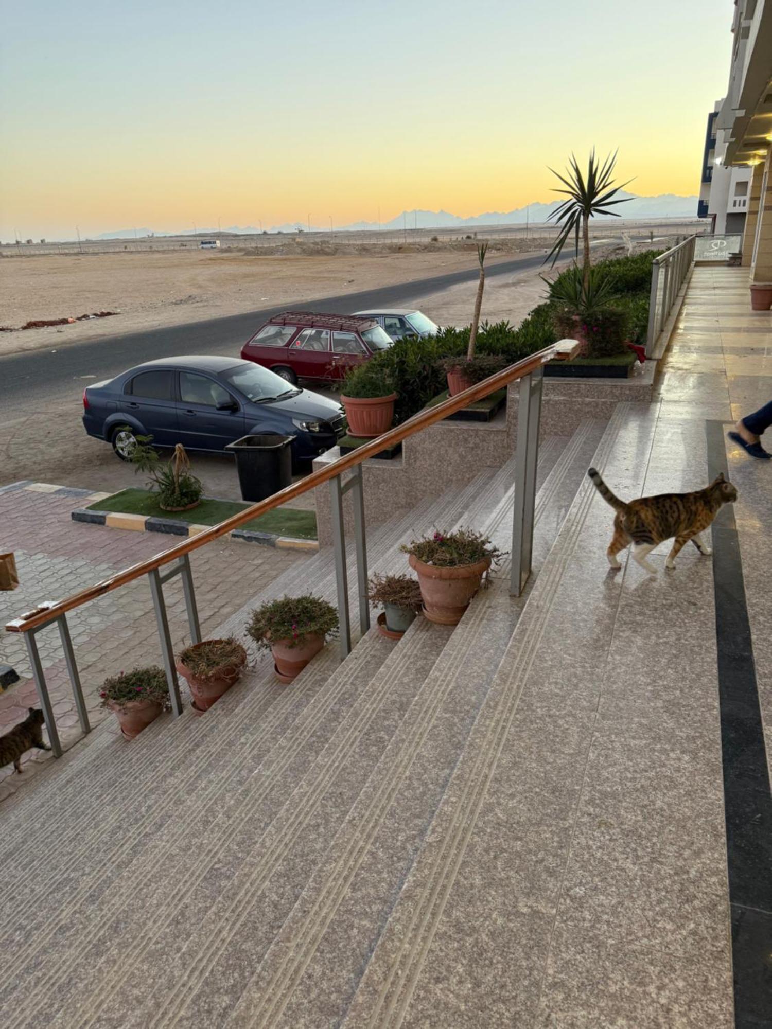 Cozy Little Studio Near Kite Station. Hurghada Exterior photo